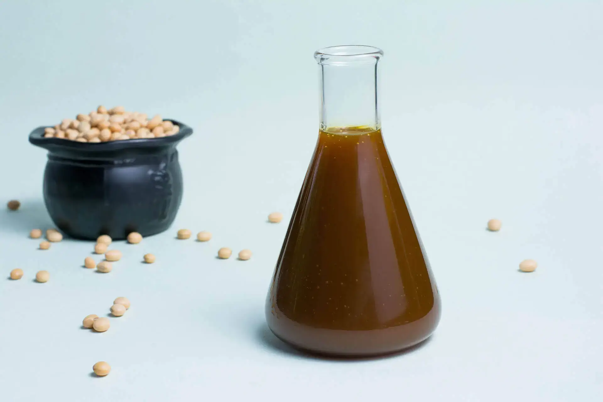 soya lecithin manufacturer